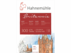 Hahnemühle Britannia Watercolour cold pressed 17x24cm 300...