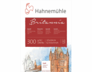 Hahnemühle Britannia Watercolour cold pressed 17x24cm 300g 12 sh.