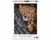 Ambassador Cheetah 1000 Pieces (Donal Boyd)