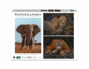 Ambassador Wildlife Eye Contact 3x 1000 Pieces (Donal Boyd)