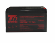 T6 Power RBC17 - battery KIT