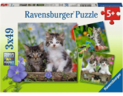 Puzzle Ravensburger 3x49 koťat