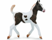 Collecta figurka Bashkir Curly Foal (004-88781)