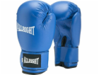 Allright TRAINING PRO BOXING GLOVES 6oz univerzální