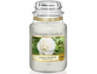 Yankee Candle Svíčka Camellia Blossom 623g