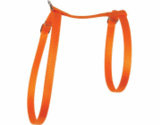 Postroj Zolux Cat nylon 10 mm oranžový