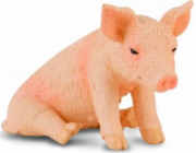 COLLECTA SEDÍCÍ PIGANTI