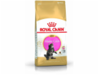 Royal Canin Maine Coon Kitten cats dry 