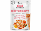 BRIT Care Fillets in Gravy turkey and s