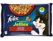 Felix Sensations - beef with tomato and