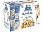 BRIT Care Fillets in Jelly Flavour Box-