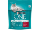 PURINA One Bifensis Adult Beef - dry ca