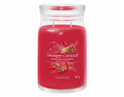 Svíčka ve skleněné dóze Yankee Candle, Třpytivá skořice, 567 g