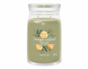 Svíčka ve skleněné dóze Yankee Candle, Šalvěj a citrus, 567 g