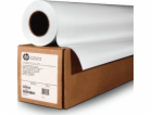 HP HP 1067/30.5/HP Professional Satin Photo Paper, satén,...