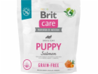 Dry food for puppies and young dogs of all breeds (4 week...