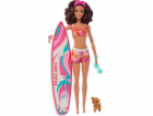  Panenka Barbie Surf & Accy