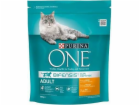 Purina One Cat Adult Krmivo s kuřecím masem pro kočky 800g