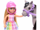 Panenka Mattel Barbie Family & Friends Chelsea a Pony