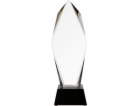 Triumph Glass Trophy s pouzdrem (C043-31)