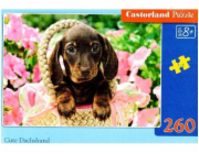 Castorland Puzzle 260 Roztomilý jezevčík