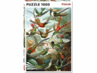 Piatnik Puzzle 1000 - Haeckel, Kolibříci PIATNIK