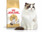 Royal Canin Ragdol Adult suché krmivo pro dospělé kočky r...