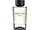 Kenneth Cole Kenneth Cole Energy edt 100ml