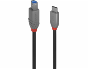 Lindy USB-C – USB-B kabel USB 1 m černý (36666)