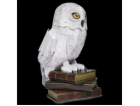 PUZZLE HARRY POTTER 4D HEDWIG 6069818