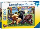 Piknik se psem puzzle Ravensburger (12886)