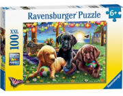 Piknik se psem puzzle Ravensburger (12886)