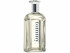 Tommy Hilfiger Tommy EDT 100 ml