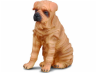 Figurka Collecta SHAR PEI DOG