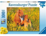 Puzzle Ravensburger XXL 100 poníků