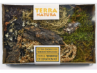 Terra Natura Tropická dekorace do terária