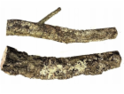 Terra Natura Cork Oak Branch, 40 cm, m