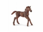 Schleich 13857 Plnokrevné hříbě