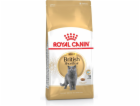 ROYAL CANIN British Shorthair - suché krmivo pro kočky - ...