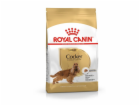 ROYAL CANIN Adult Cocker - suché krmivo pro psy - 12 kg