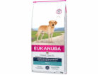 EUKANUBA Labrador Retriever Adult - suché krmivo pro psy ...