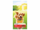 PURINA Friskies Active - suché krmivo pro psy - 10 kg