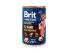 BRIT Premium by Nature Lamb with Pohanka - Mokré krmivo p...