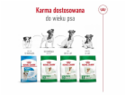 ROYAL CANIN Adult Mini S - suché krmivo pro psy - 8kg