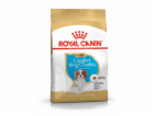 Royal Canin BHN Cavalier King Charles Spaniel Puppy - suc...