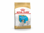 Royal Canin SHN Breed Jack Russell Junior - Suché krmivo ...