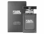 Karl Lagerfeld For Him EDT 100 ml