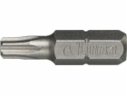 Bity Luna Torx T25 1/4 25 mm (2ks)