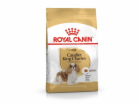 Krmivo pro psy Royal Canin SHN Breed Cavalier KC 1,5 kg