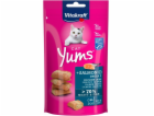 VITAKRAFT Cat Yums Salmon - pamlsek pro kočky - 40 g